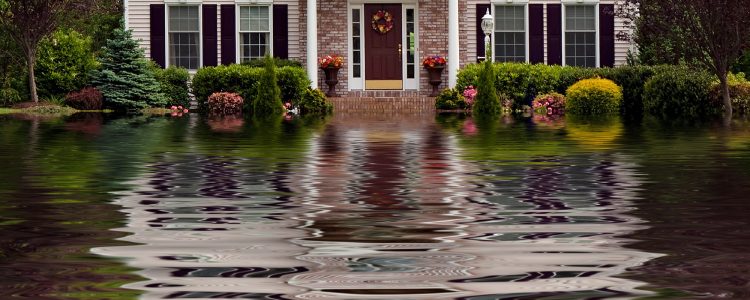 Flood Damaged Home