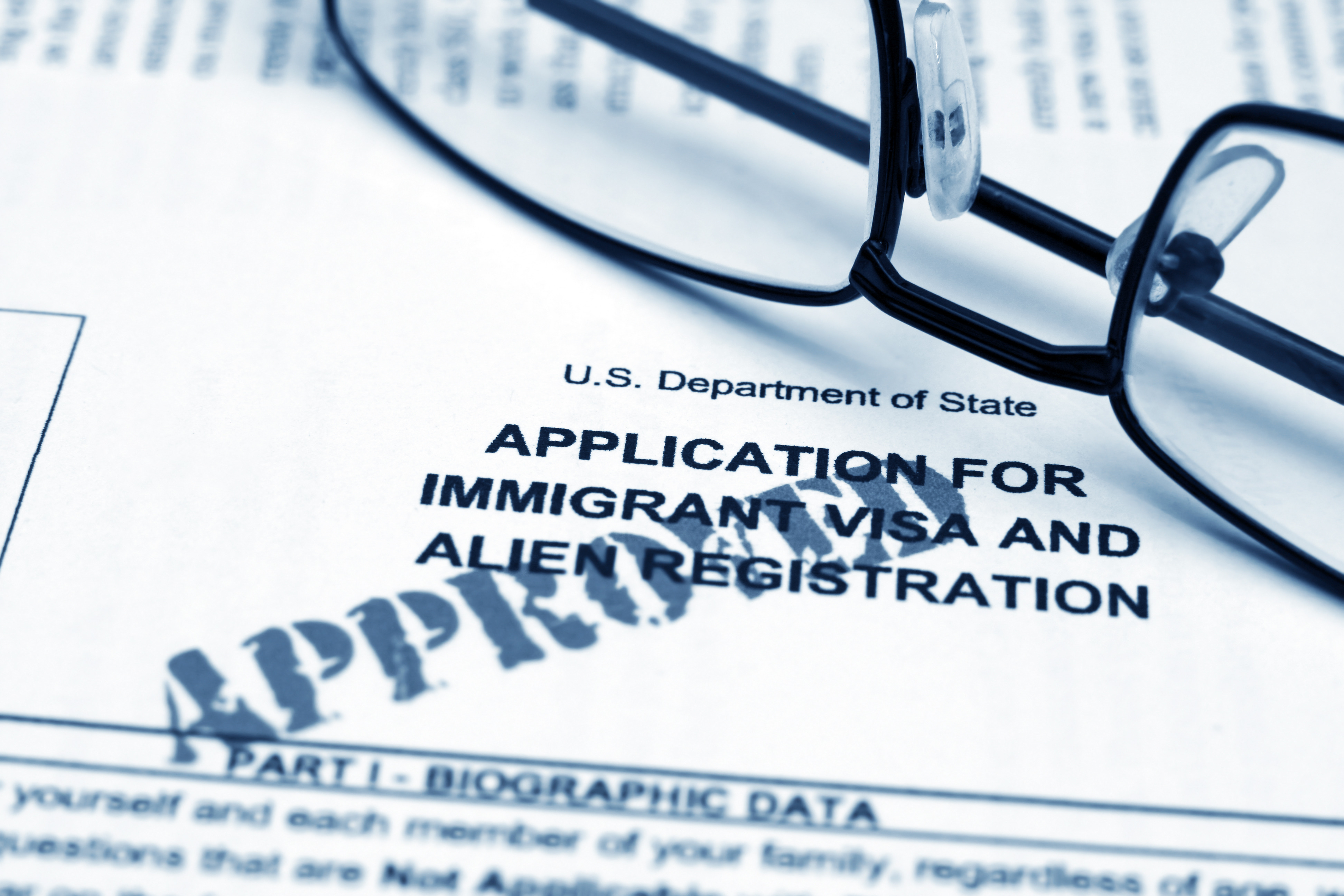 Immigrant visa form