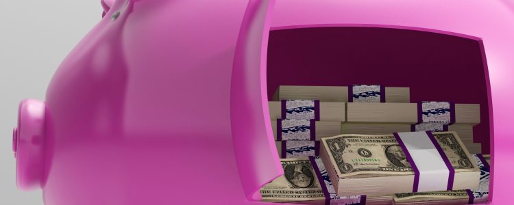 Notes In Piggy Shows Savings And Investment